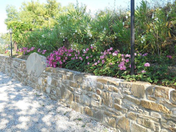 Casale San Martino Bed & Breakfast Laureana Cilento Екстериор снимка