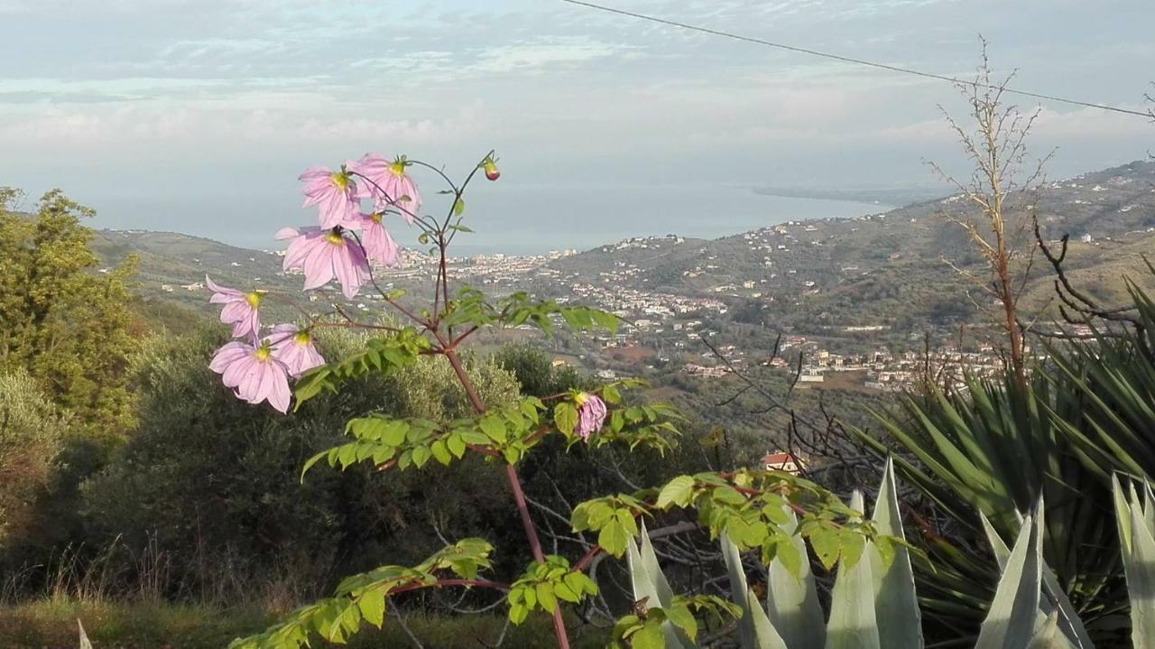 Casale San Martino Bed & Breakfast Laureana Cilento Екстериор снимка