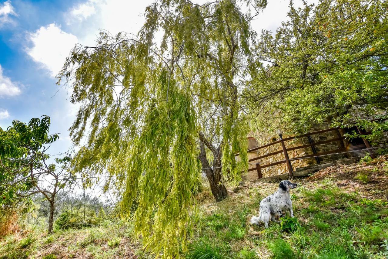 Casale San Martino Bed & Breakfast Laureana Cilento Екстериор снимка