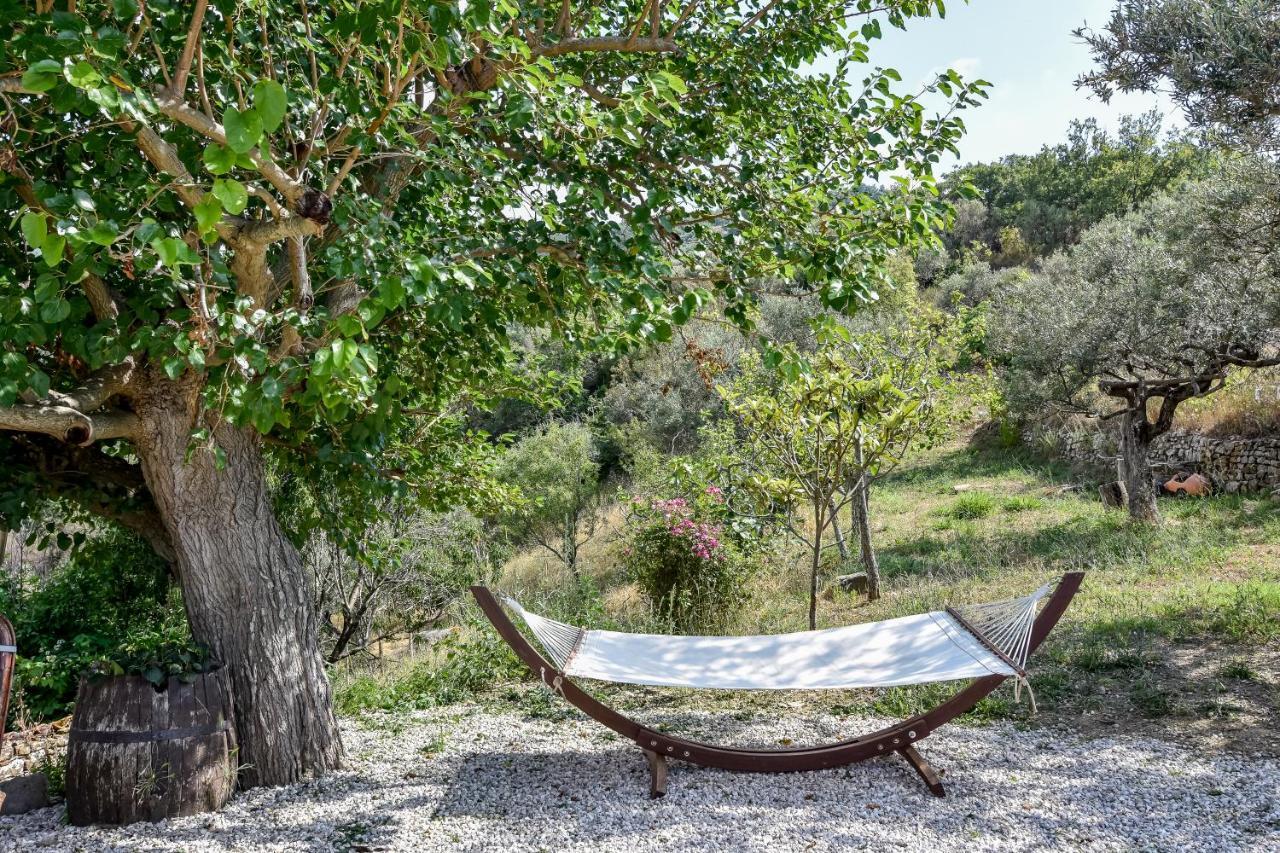 Casale San Martino Bed & Breakfast Laureana Cilento Екстериор снимка